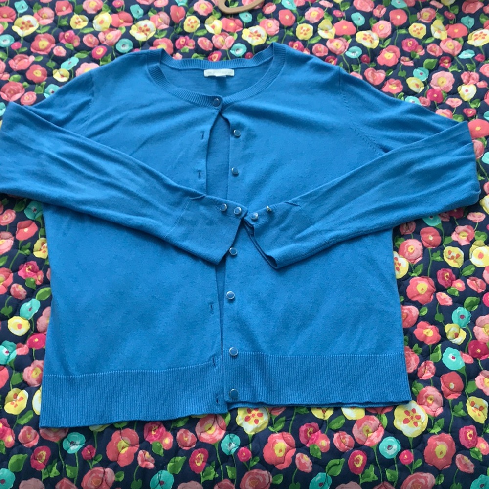 Blue Cardigan Sweater